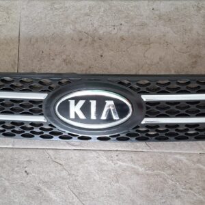 Parrilla delantera de Kia Ceed